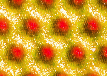 The Counter: How I Handle Adult Acne