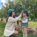 Boston Apple Picking Fall Family Outfits (mom, toddler son)
