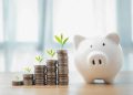 How to Grow Your Money: 7 “Must Do” Tips