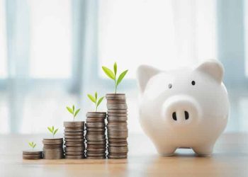 How to Grow Your Money: 7 “Must Do” Tips