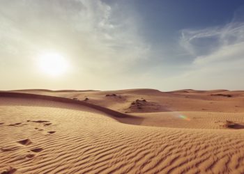 What to Wear to the Office During a Heat Wave