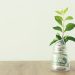The 4 Pillars I Used To Build Wealth (Not Luck, Not Hype)